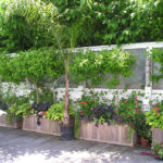 Teak Planter & WindowTree Boxes, and Trellises