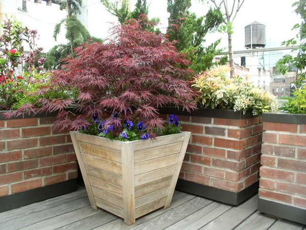 beautiful use of marot trapezoid planter